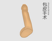 包皮