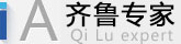 齐鲁专家